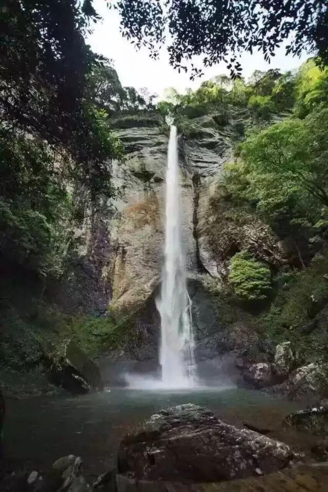 裙上繁花